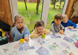 Zdjęcie 2 na 6